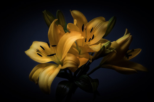 915749 (a): :2048x1360